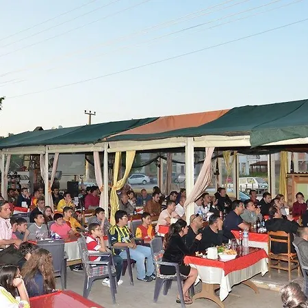 Dost Fethiye